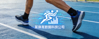 合作伙伴四：某体育数据科技公司Logo